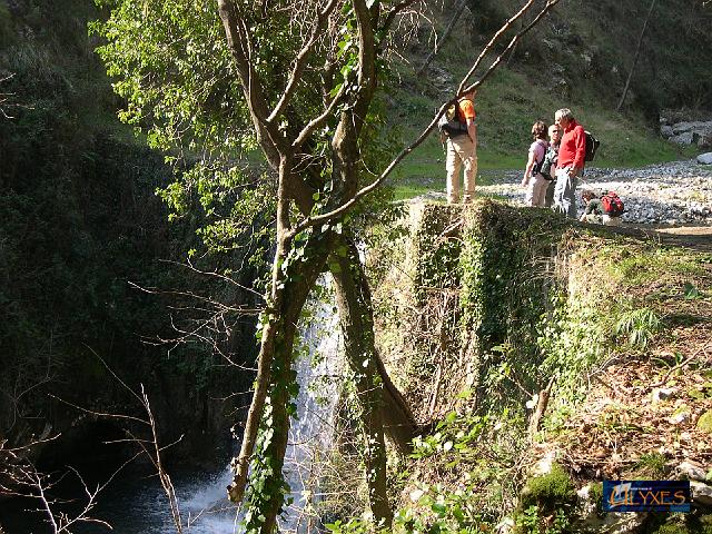 attirati dall'acqua.JPG